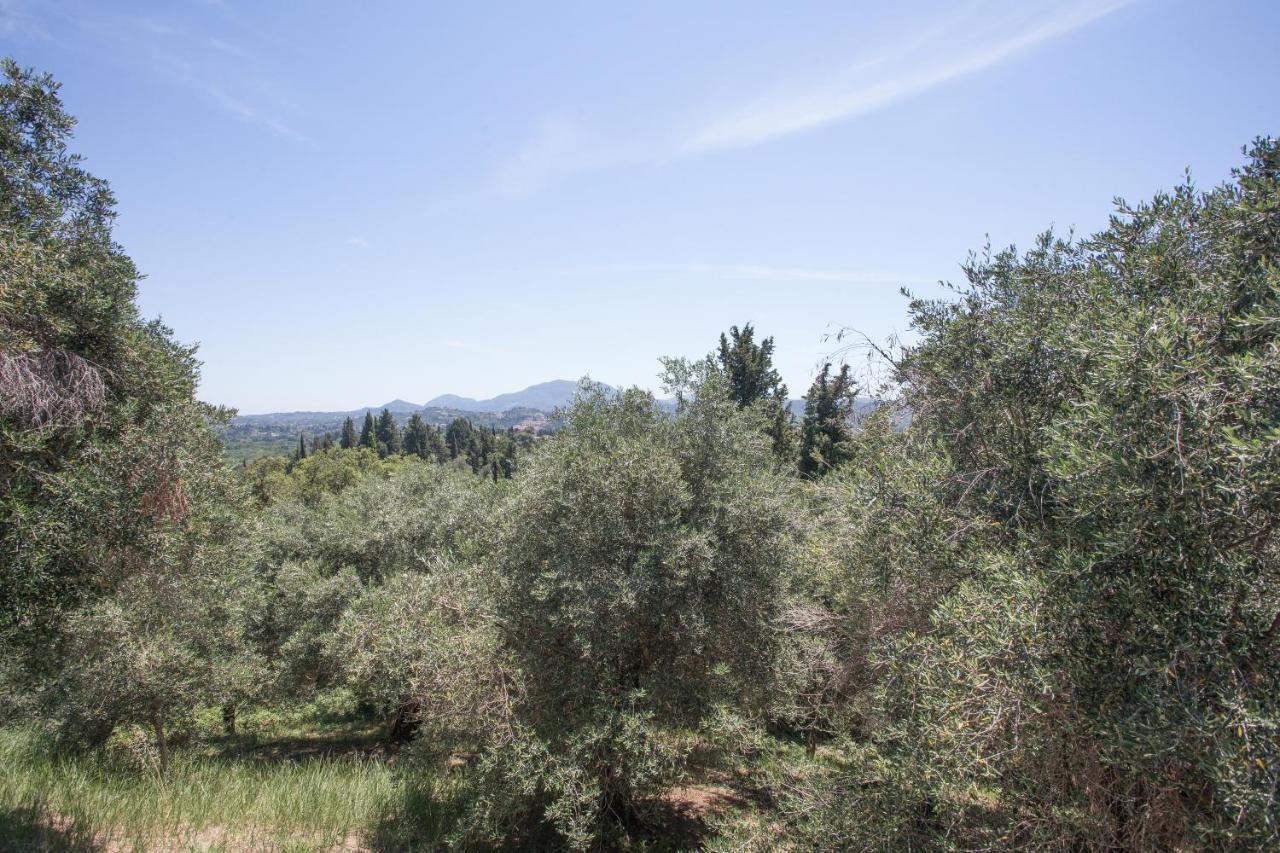 Evropouloi Olive Tree Houseヴィラ エクステリア 写真